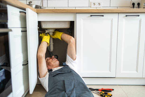 Best Local Plumber Services  in Leisure Village, NJ